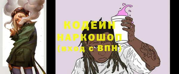 шишки Михайловск