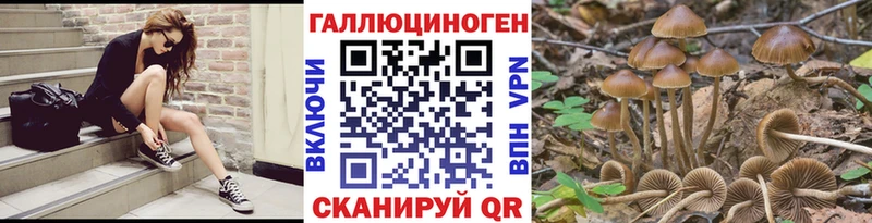 Псилоцибиновые грибы Psilocybine cubensis  где продают наркотики  Моздок 