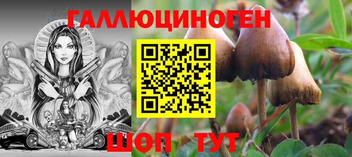 Моздок  Псилоцибиновые грибы мухоморы  Вход с VPN 