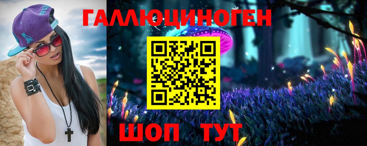 Галлюциногенные грибы Psilocybe Моздок